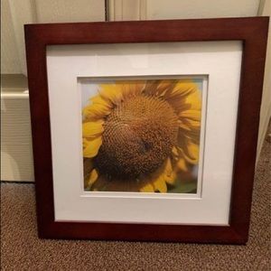 8x8 sunflower photo in a 14x14 frame